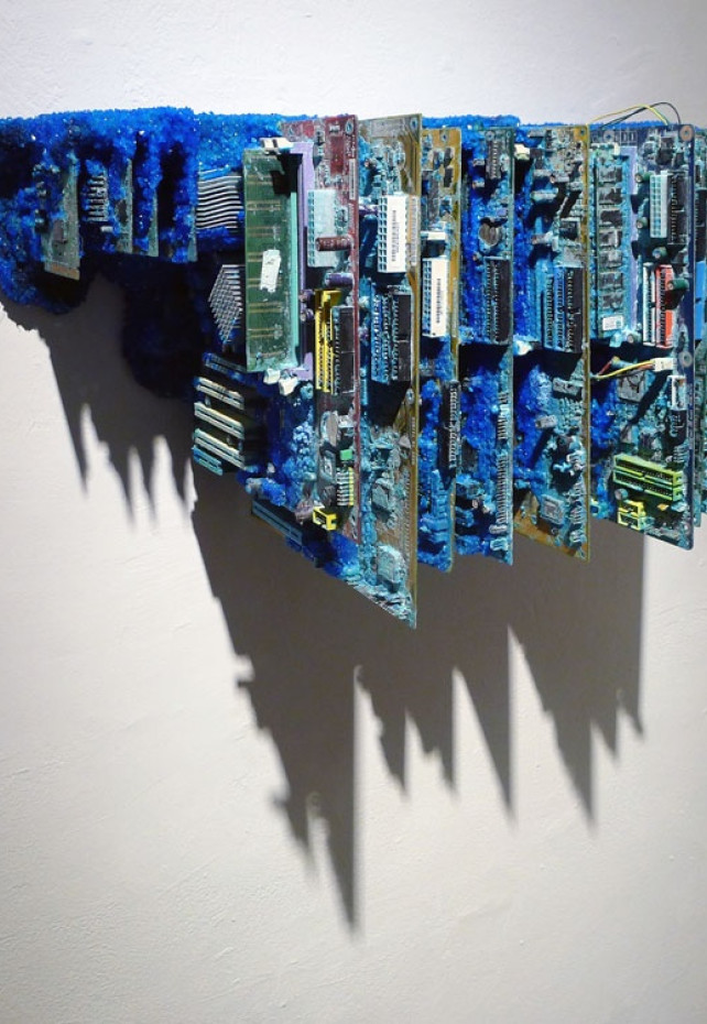 Michal Černušák, Marek Kvetan: ČIERNY KVET