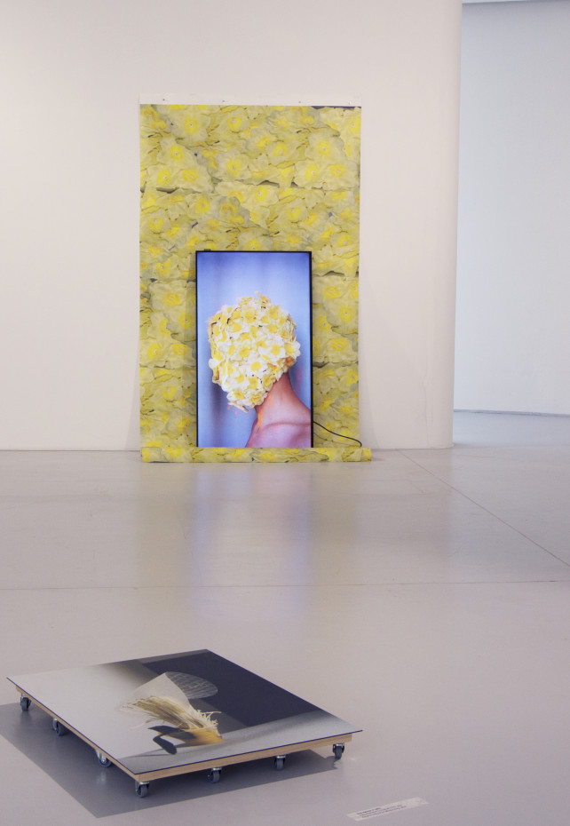 Krízy koexistencií