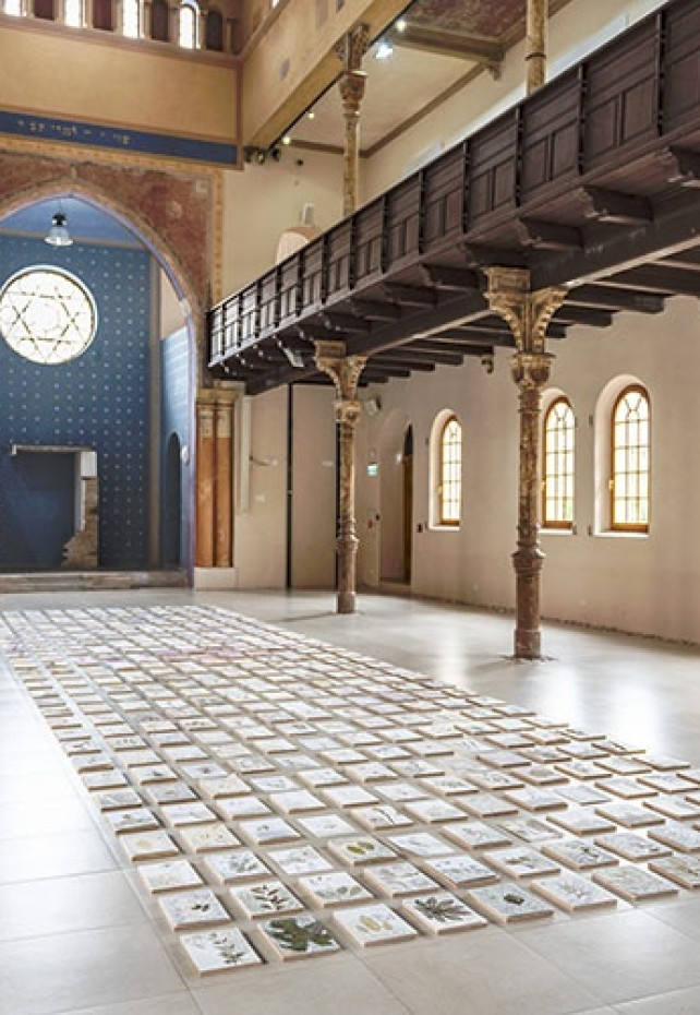 Mira Podmanická: HERBARIUM