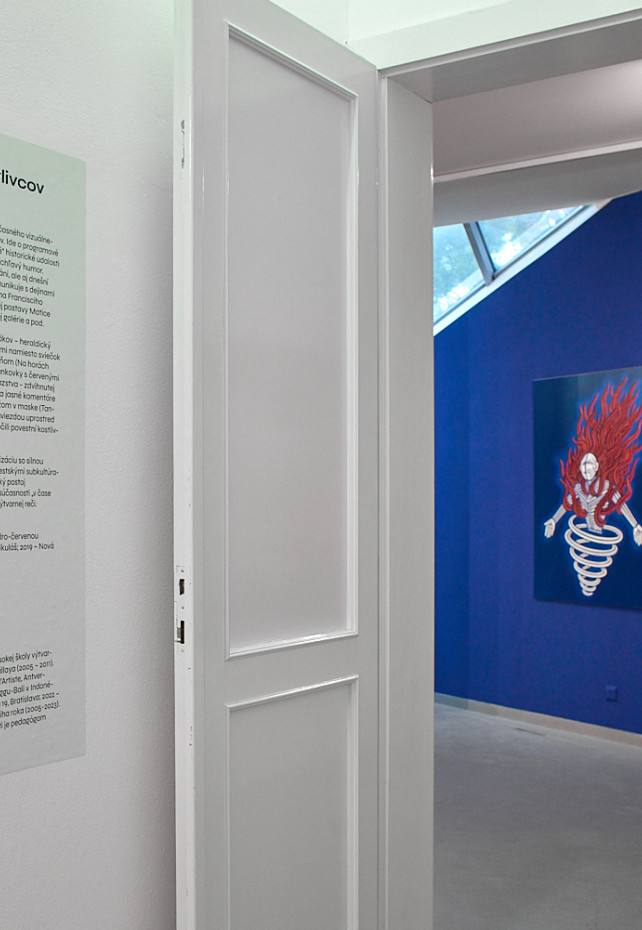 Matúš Maťátko - Čas kostlivcov (Biela-Modrá-Červená epopej)