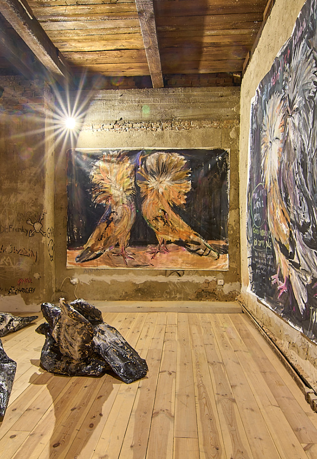 V holubníku bolo príliš tesno