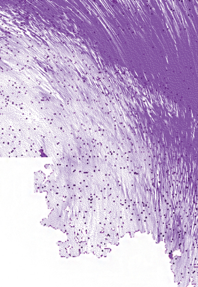 Contracts of Recognitions