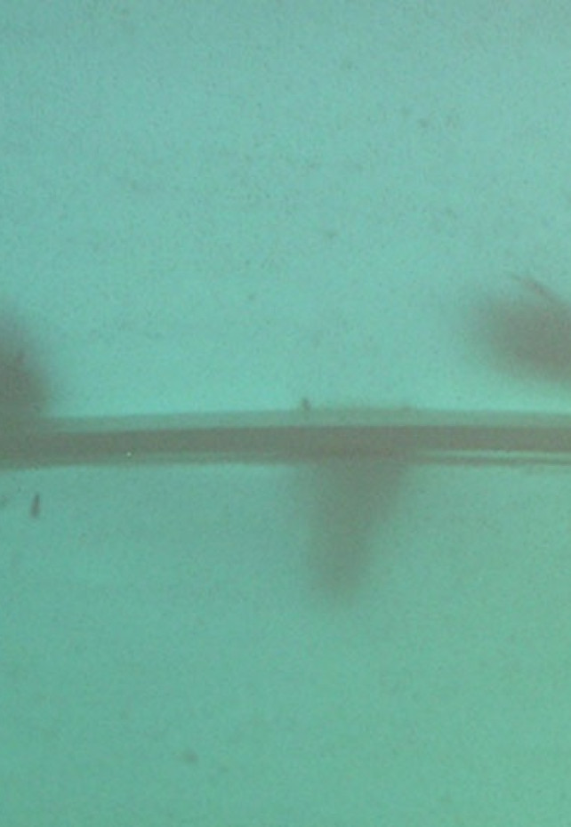 KAPELA DUDAS : NÚDZOVÉ VÝCHODISKÁ