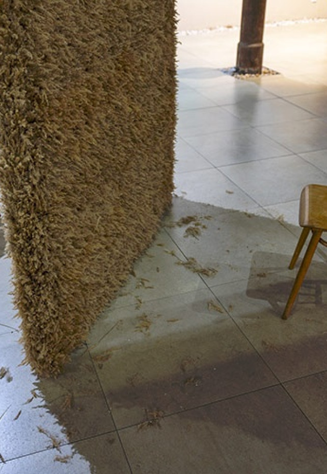 Lucia Veselá: Dobrodružná situácia