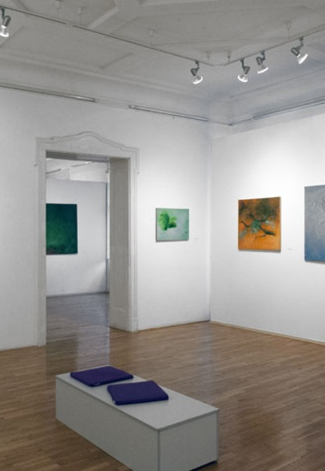 Jana Hýbalová Ovšáková: Zimomriavky