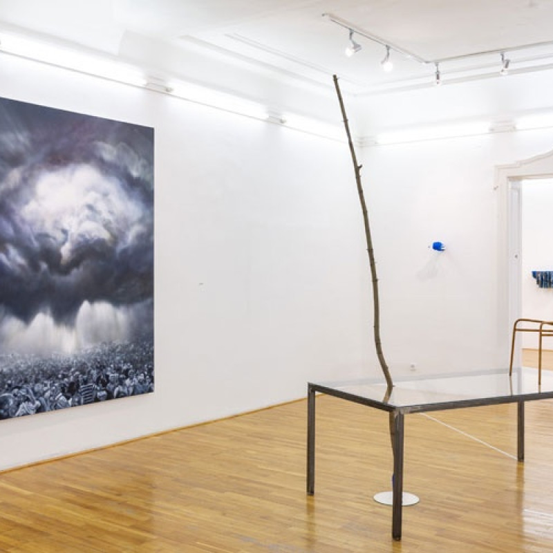 Michal Černušák, Marek Kvetan: ČIERNY KVET