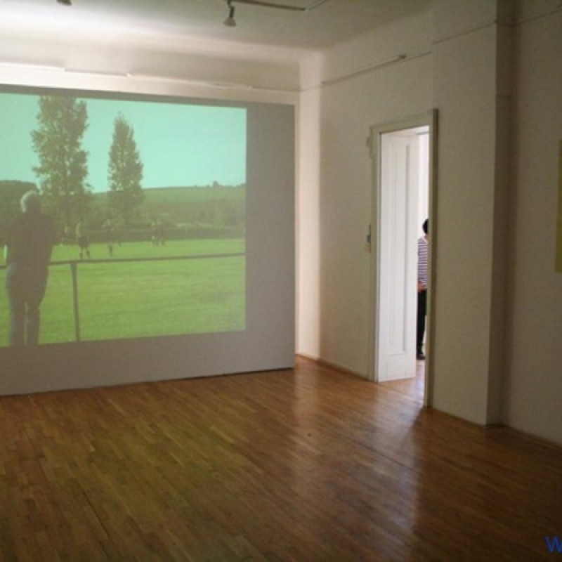 Výstave dominovali obrazy a videoart