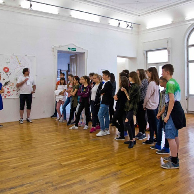 žiaci Gymnázia Jána Hollého Trnava