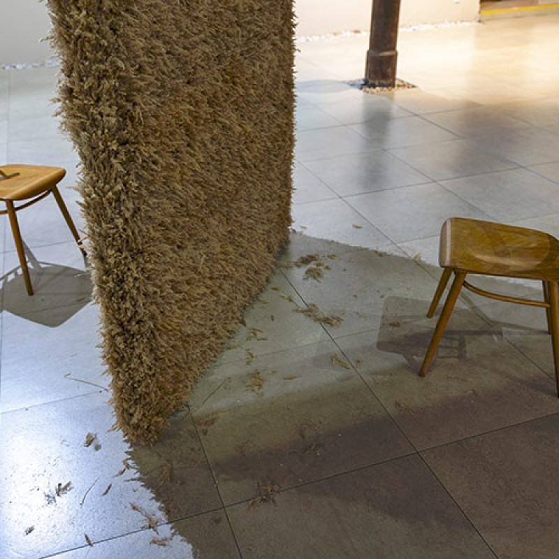 Lucia Veselá: Dobrodružná situácia