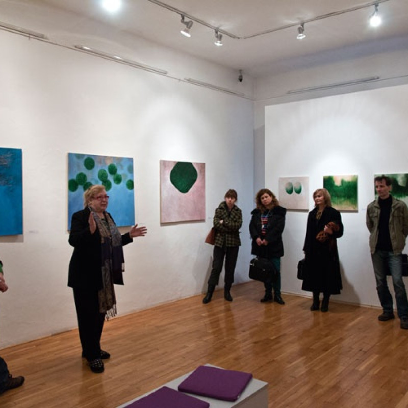 na komentovanej prehliadke