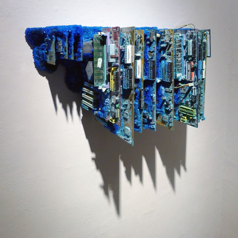 Michal Černušák, Marek Kvetan: ČIERNY KVET