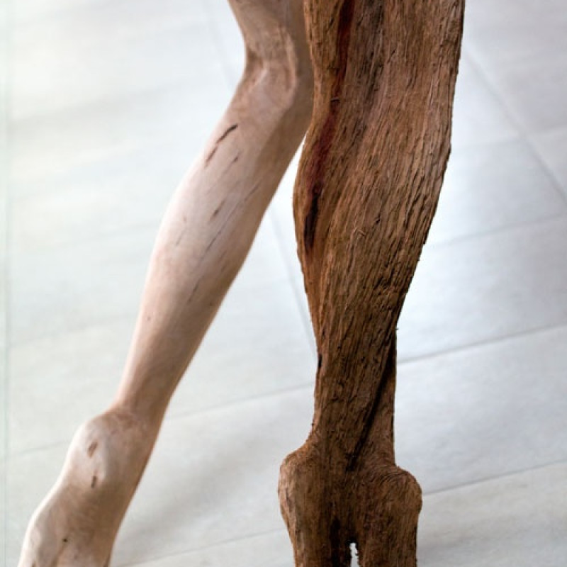 Pieta, 2016 (detail)