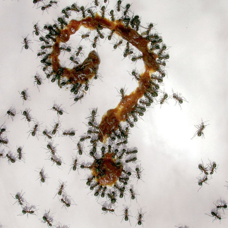 Erik Binder: Namenlos · 2007 (Fotografie)