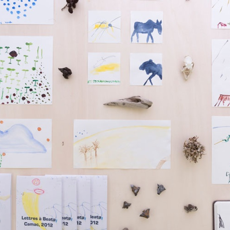 detail inštalácie skíc s prírodným materiálom