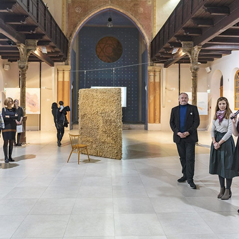 Lucia Veselá: Dobrodružná situácia