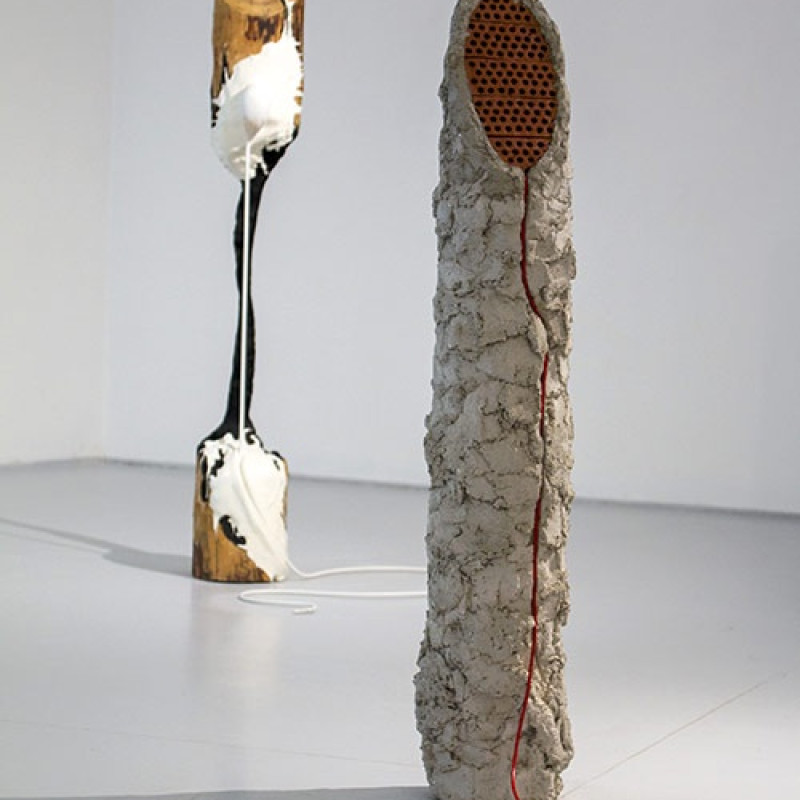 Enigmatická krajina