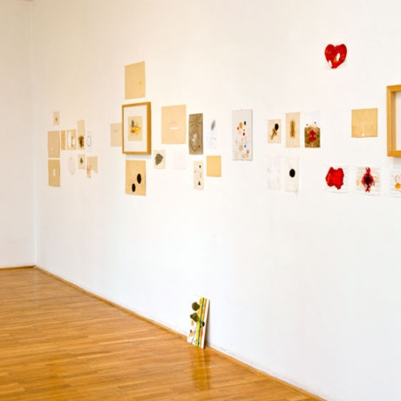 Denisa Lehocká: 1991 - 2010