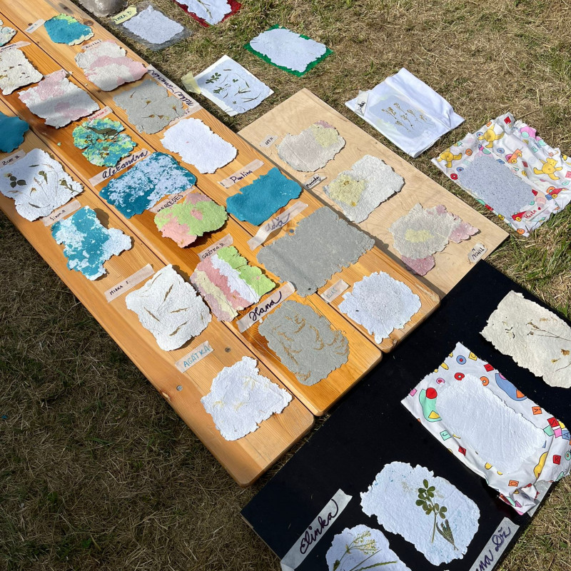 In the Footsteps of Paper