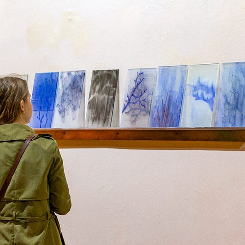 pohľad do výstavných priestorov