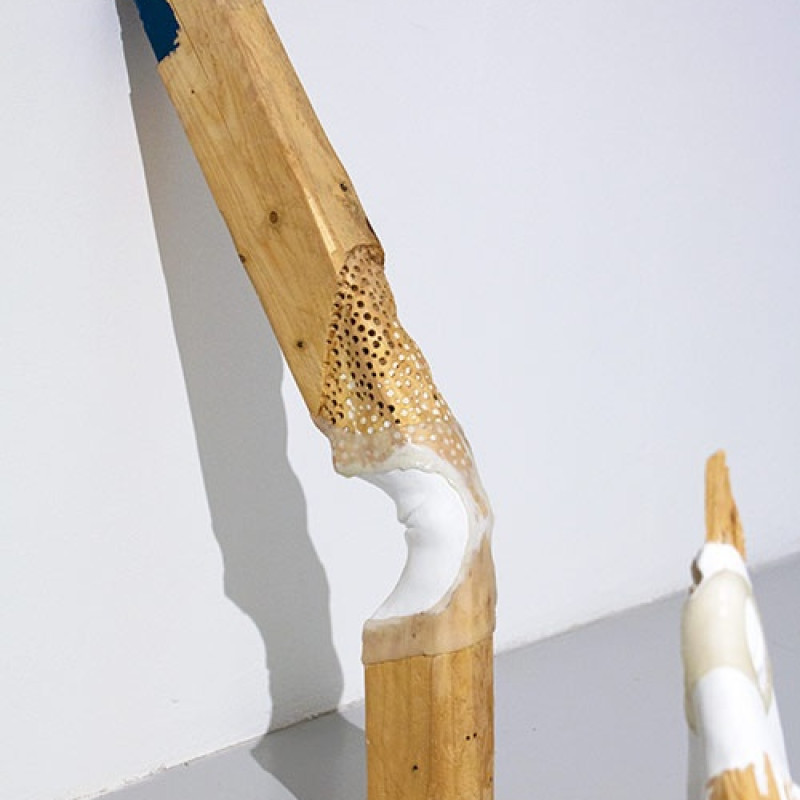 Enigmatická krajina