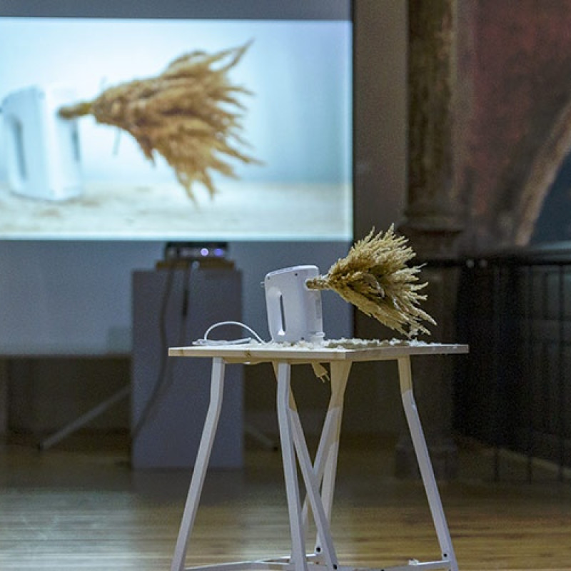 Lucia Veselá: Dobrodružná situácia