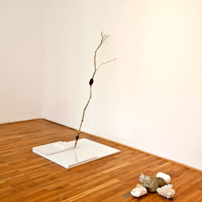 Denisa Lehocká: 2006