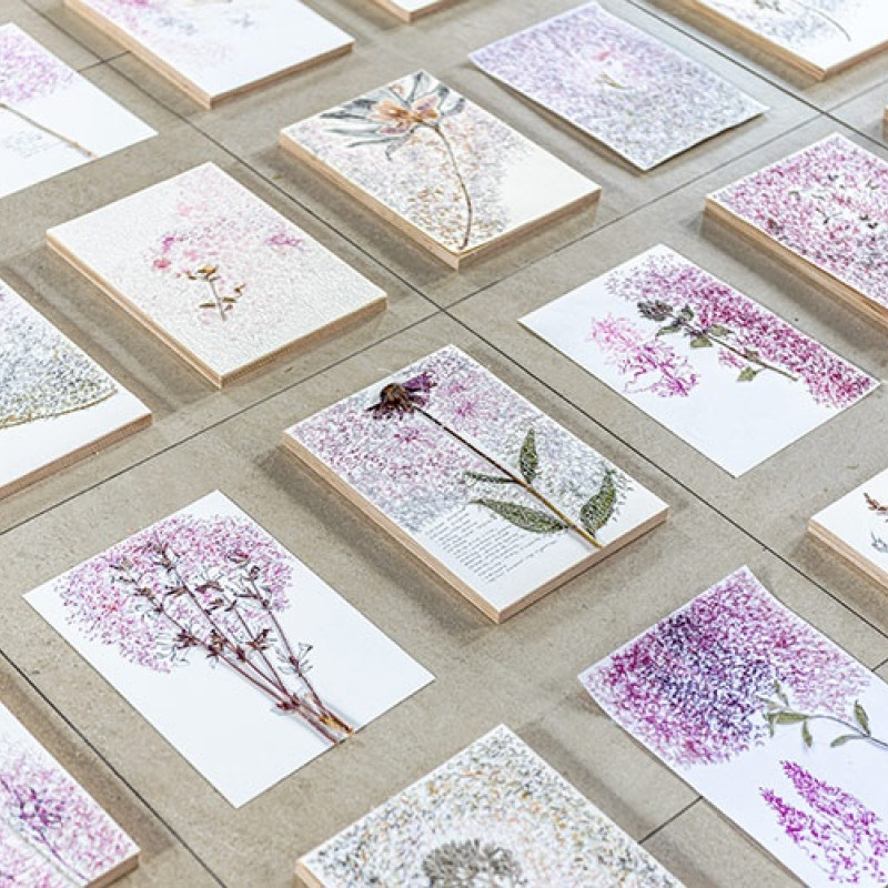 detail inštalácie HERBARIUM