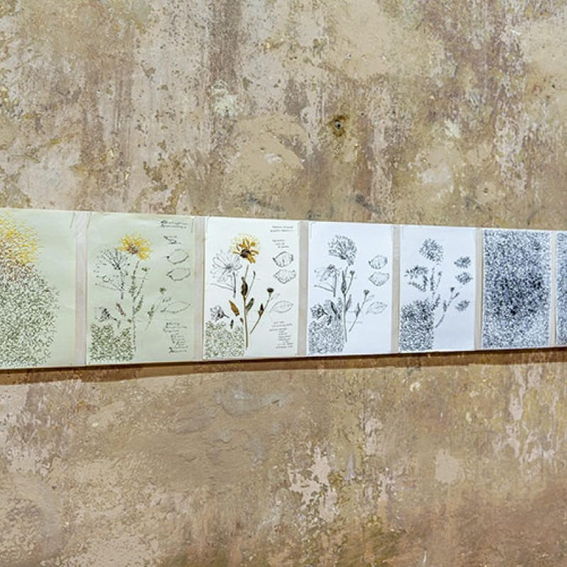 z výstavy HERBARIUM