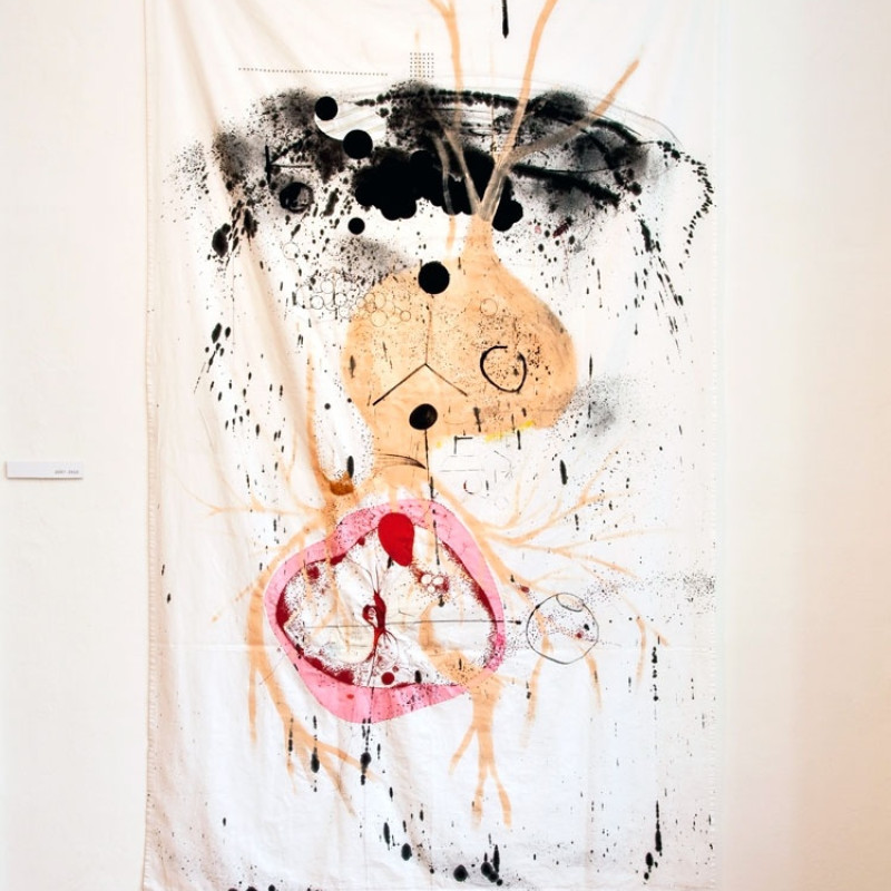 Denisa Lehocká: 2007-2010