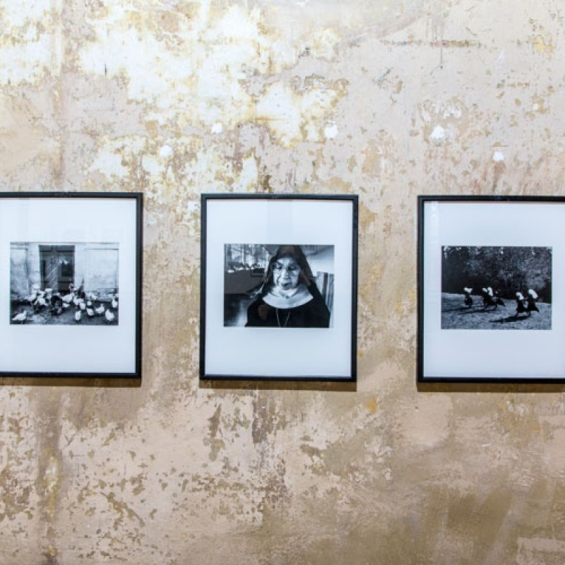 výstava Za krížom