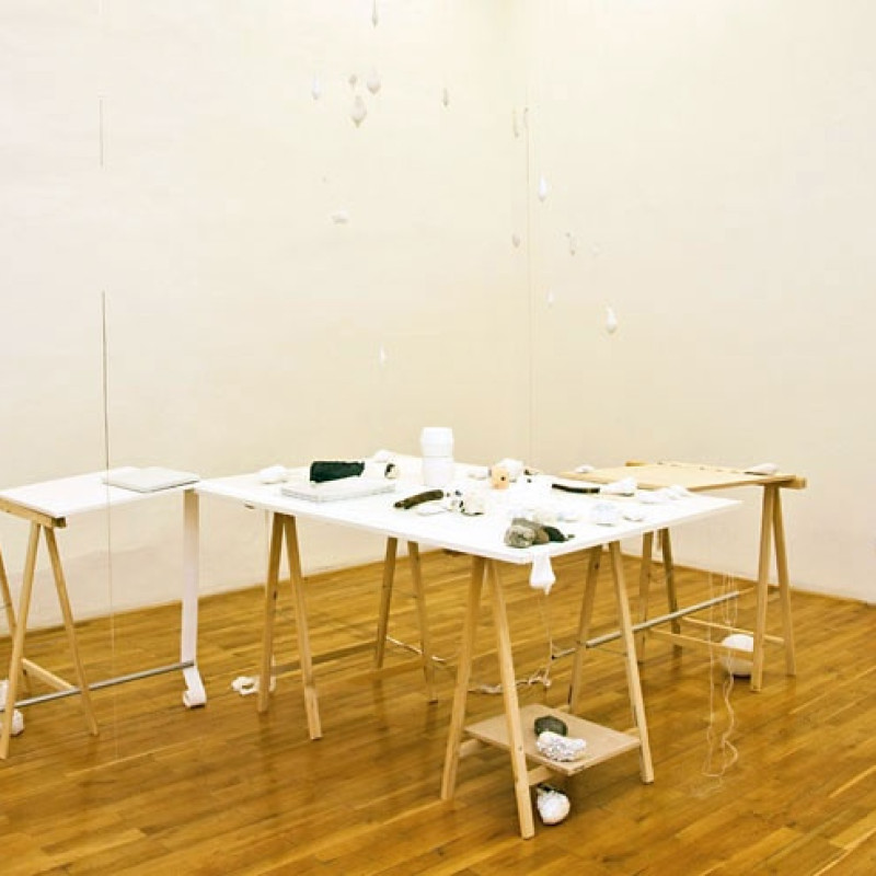 Denisa Lehocká: 2010