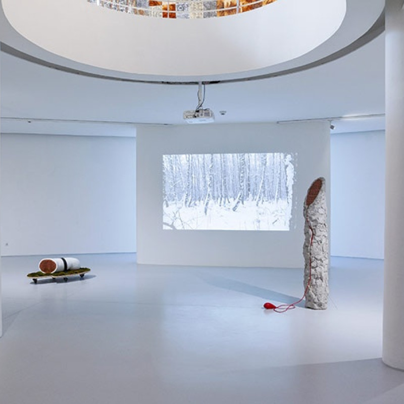 Enigmatická krajina