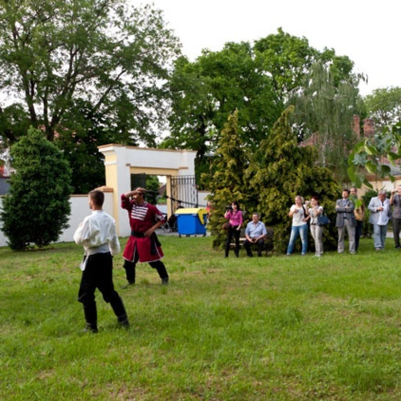 obraz šachovnice modifikovaný údermi bičov