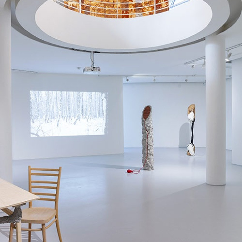 Enigmatická krajina