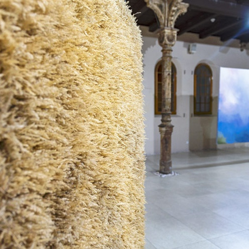 Lucia Veselá: Dobrodružná situácia