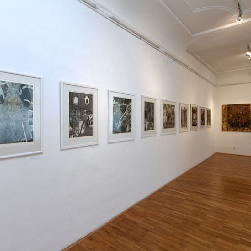 z výstavy Karol Ondreička v Kopplovej vile