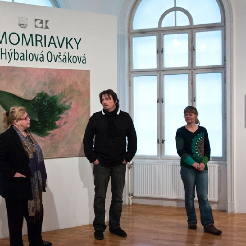 otvorenie komentovanej prehliadky