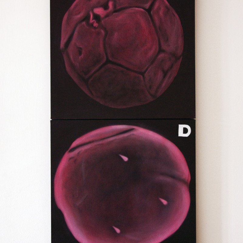 Zo série ART-FOSIL-CELL/Cycle Self Narration, 2009 olej/akryl na plátne