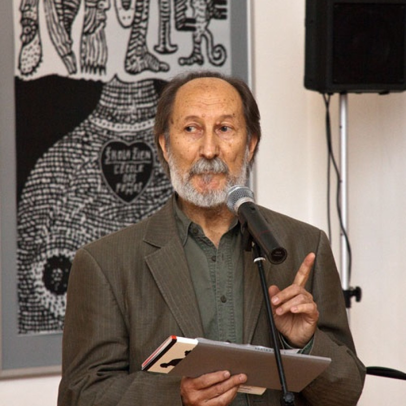 kurátor výstavy Dušan Junek