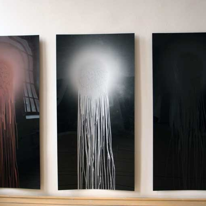 Milan Houser, Bez názvu, 2004, akrylátová perleť, MDF doska