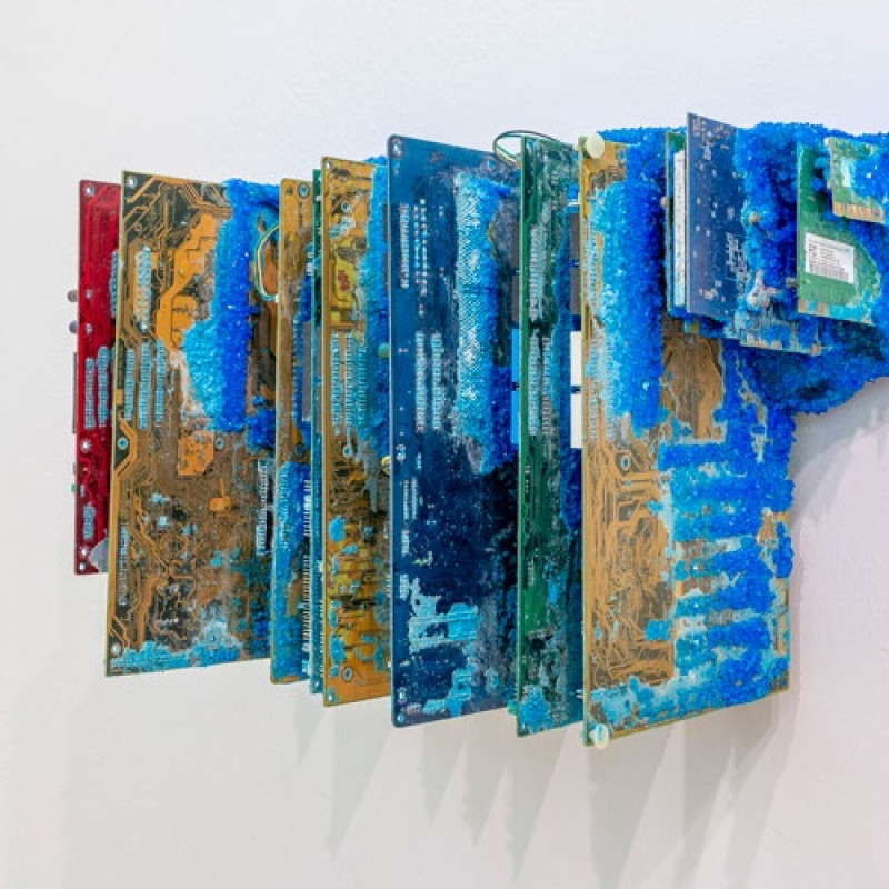 Michal Černušák, Marek Kvetan: ČIERNY KVET