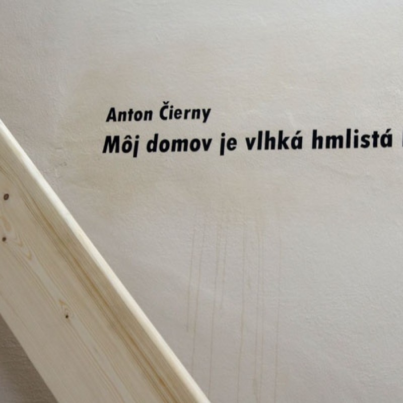 Anton Čierny: Môj domov je „vlhká hmlistá krajina“