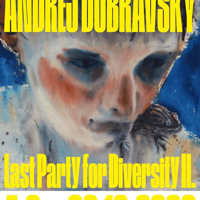 Last Party for Diversity II